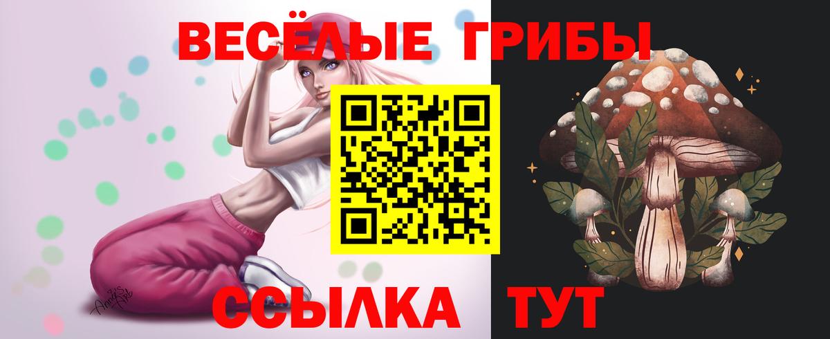 Павловский Посад  Галлюциногенные грибы мицелий  Вход с VPN  Галлюциногенные грибы мицелий 